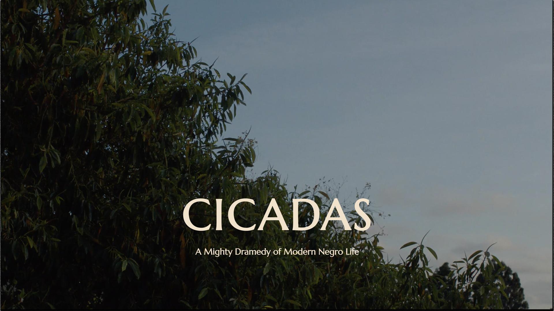 Cicadas