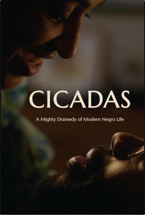 Cicadas