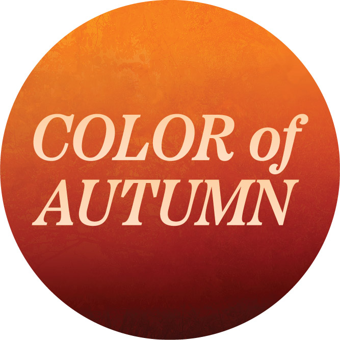 Color of Autumn