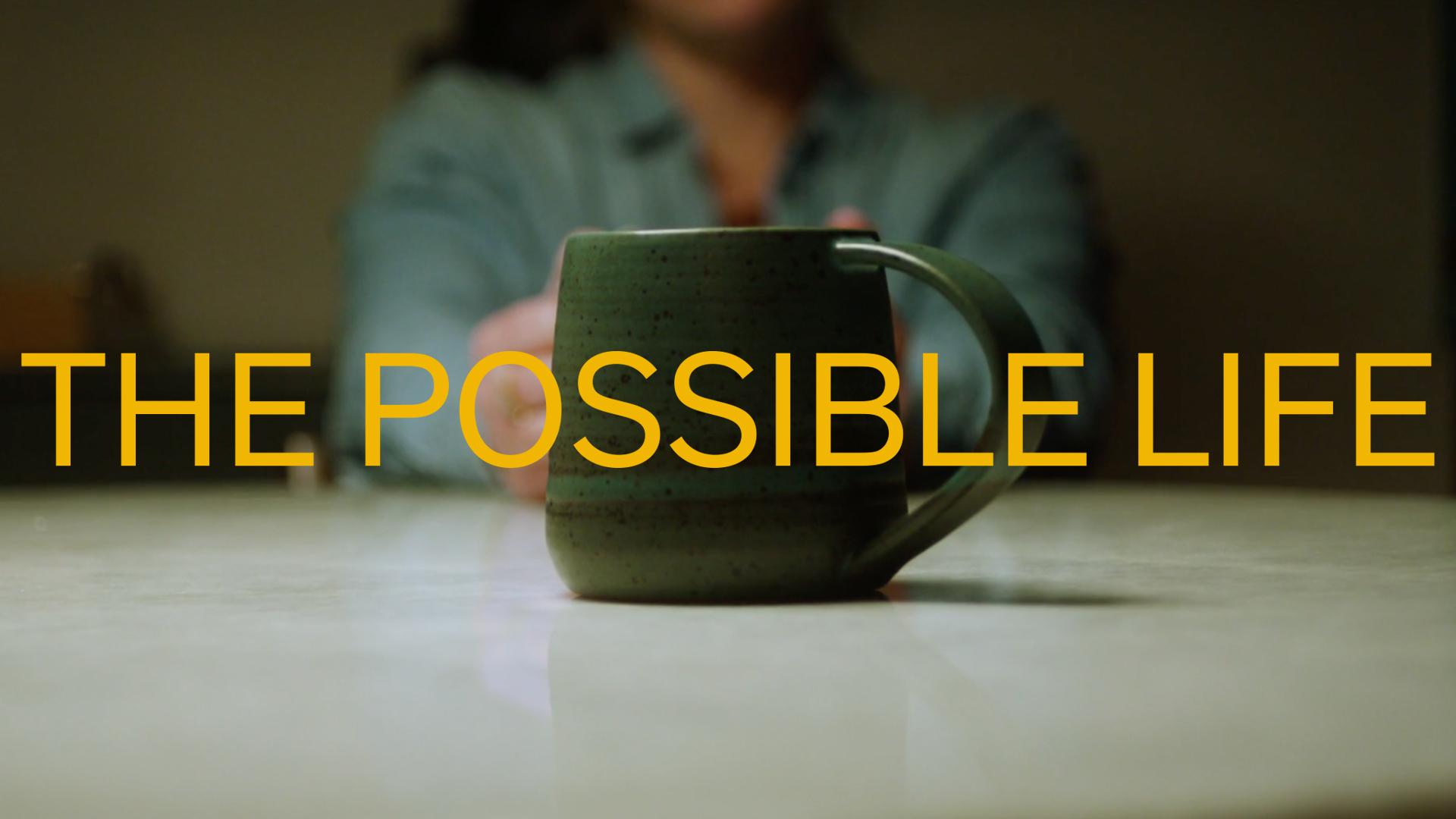 The Possible Life