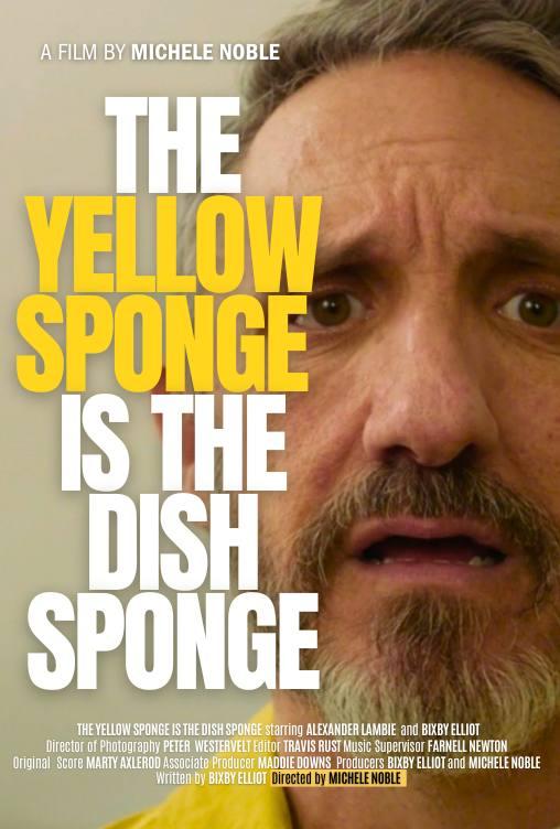 The Yellow Sponge is the Dish Sponge